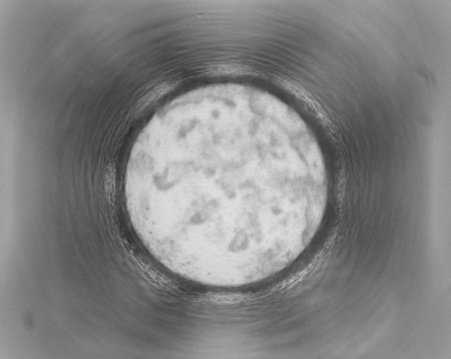 X0000115420825200912011325