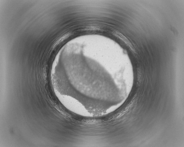 X0000115420826200912011325