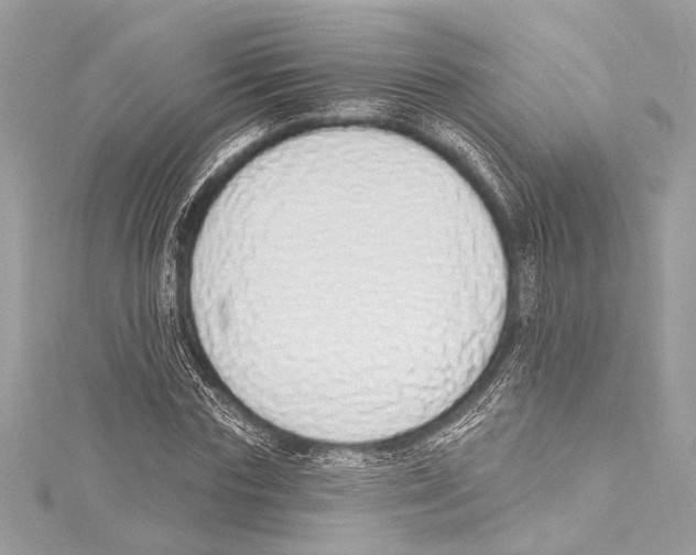 X0000115420827200912011325