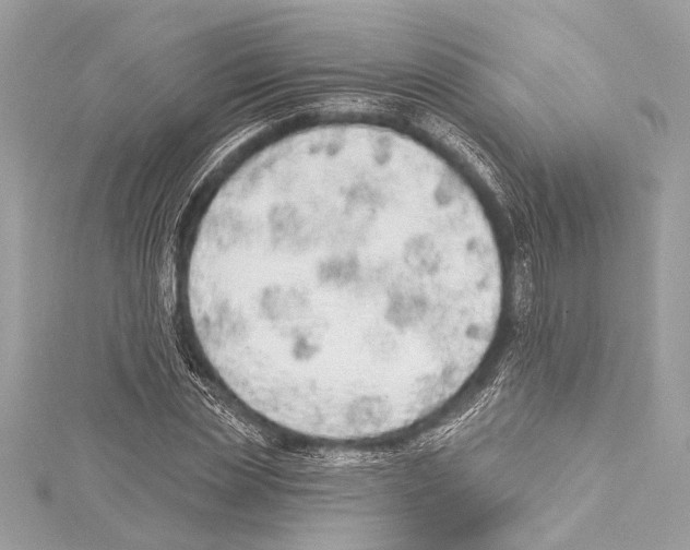 X0000115420829200912011325