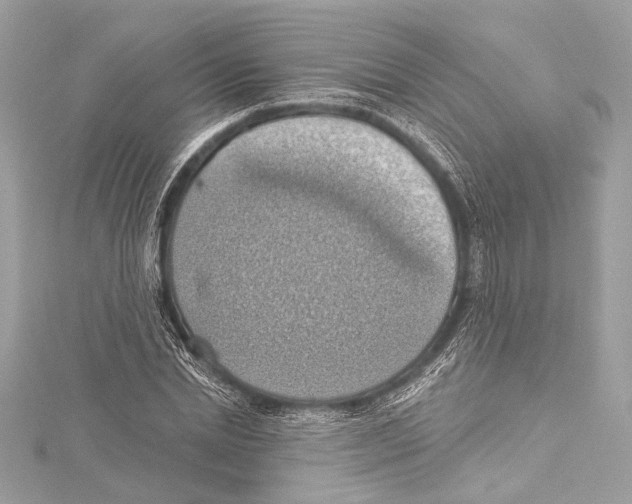 X0000115420830200912011325