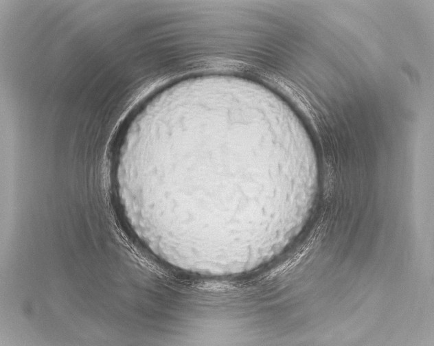 X0000115420835200912011325