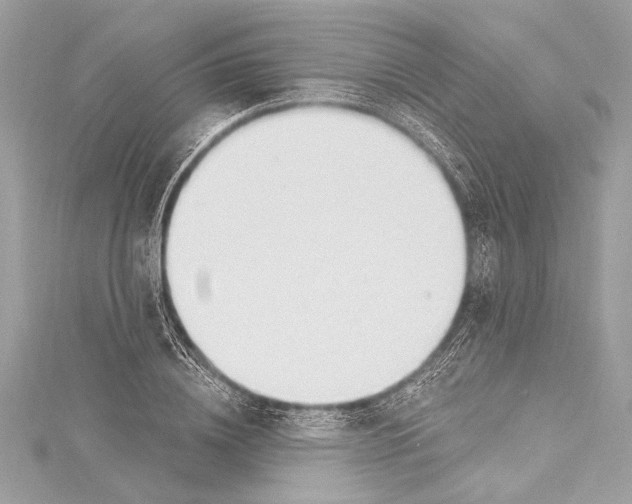 X0000115420836200912011325