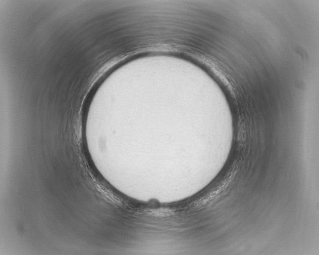 X0000115420837200912011325