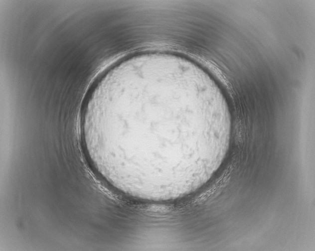 X0000115420839200912011325