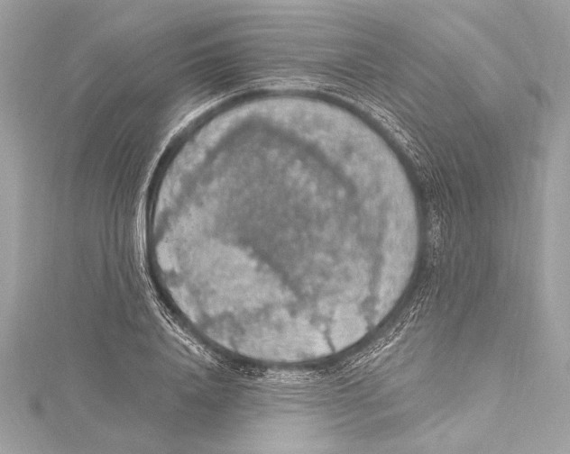 X0000115420840200912011325