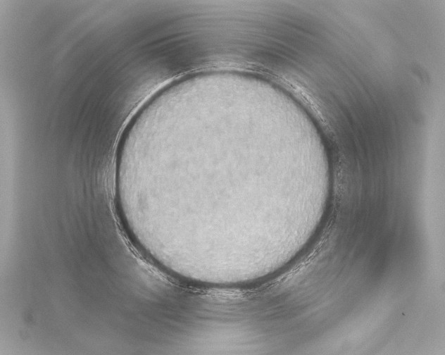 X0000115420844200912011325