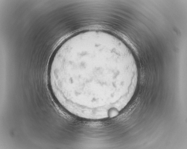 X0000115420845200912011325