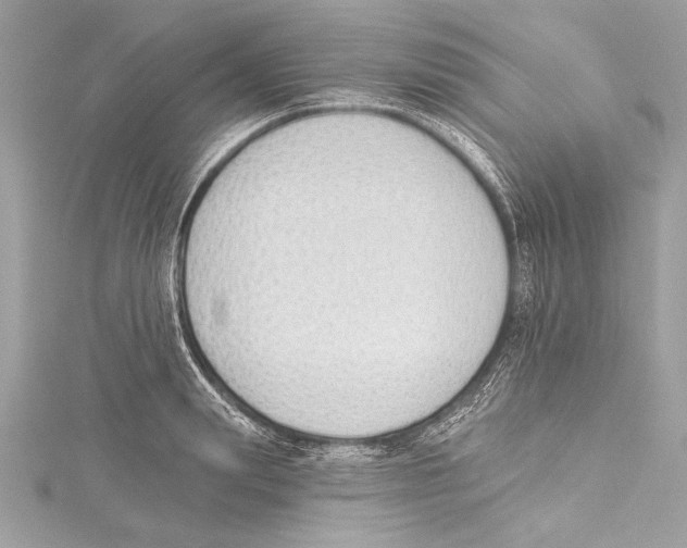 X0000115420847200912011325