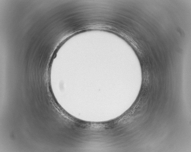 X0000115420848200912011325