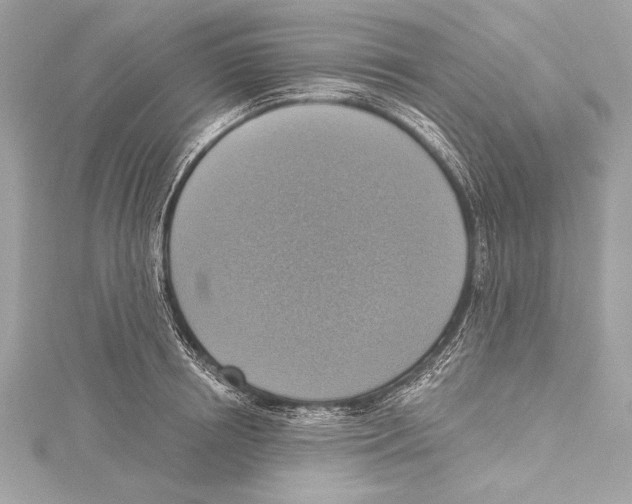 X0000115420850200912011325