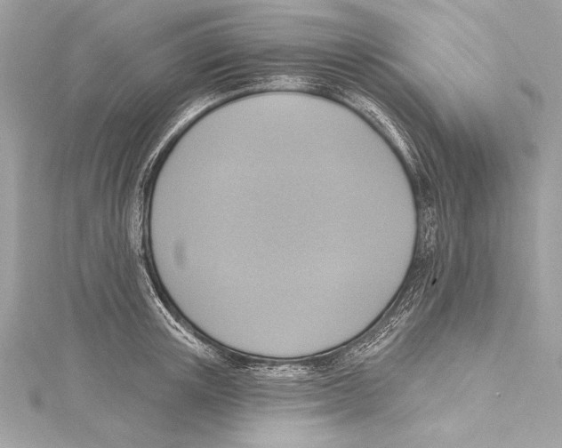 X0000115420851200912011325