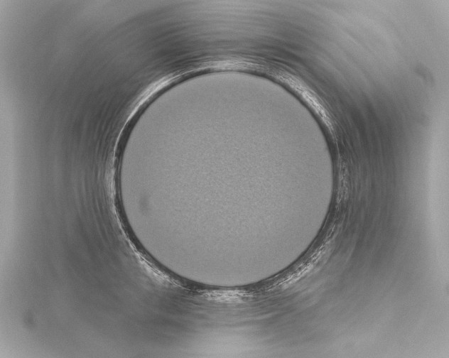 X0000115420853200912011325