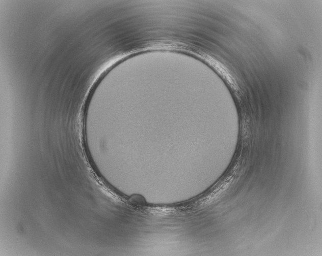 X0000115420854200912011325