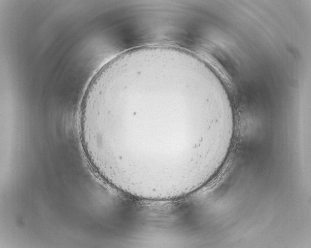 X0000115420856200912011325