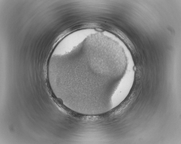 X0000115420858200912011325