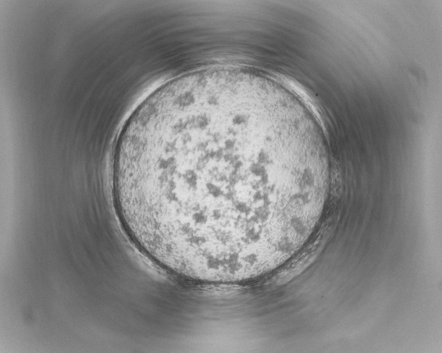 X0000115420859200912011325