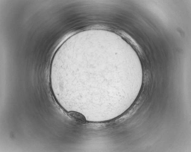 X0000115420860200912011325