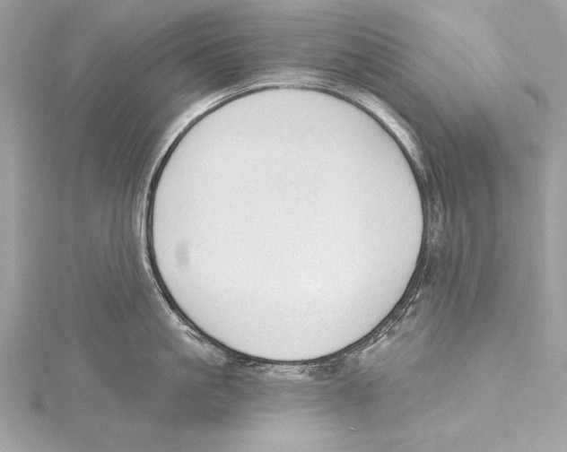 X0000115420861200912011325