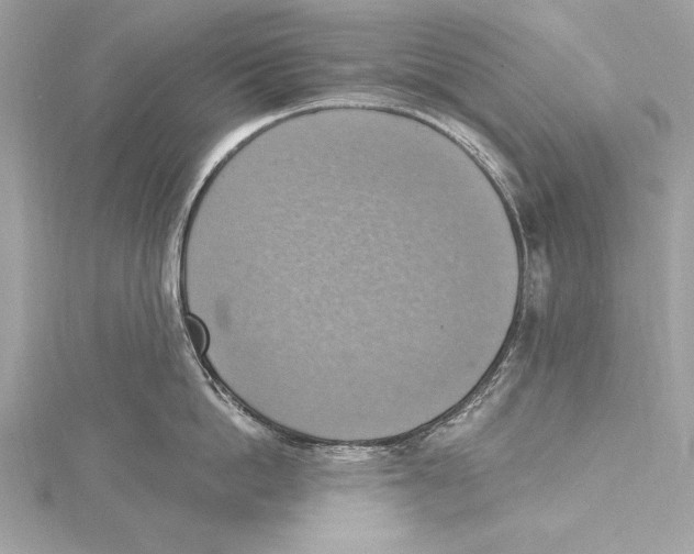 X0000115420862200912011325