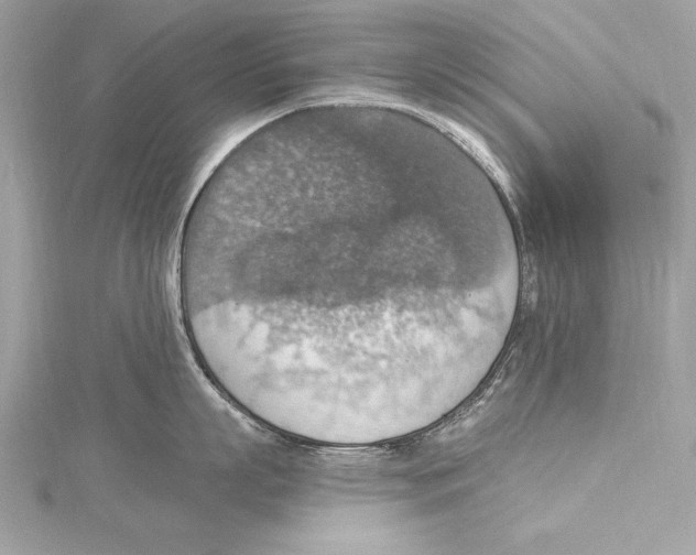 X0000115420863200912011325