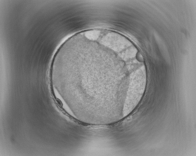 X0000115420864200912011325