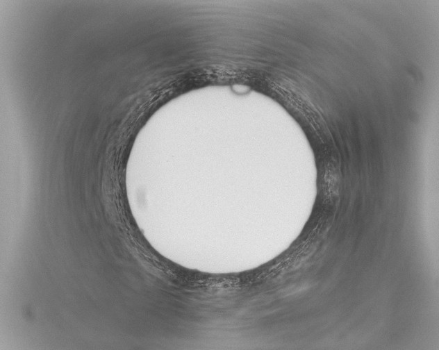 X0000115420865200912011325