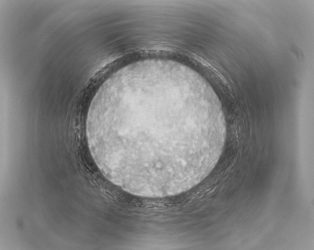 X0000115420870200912011324