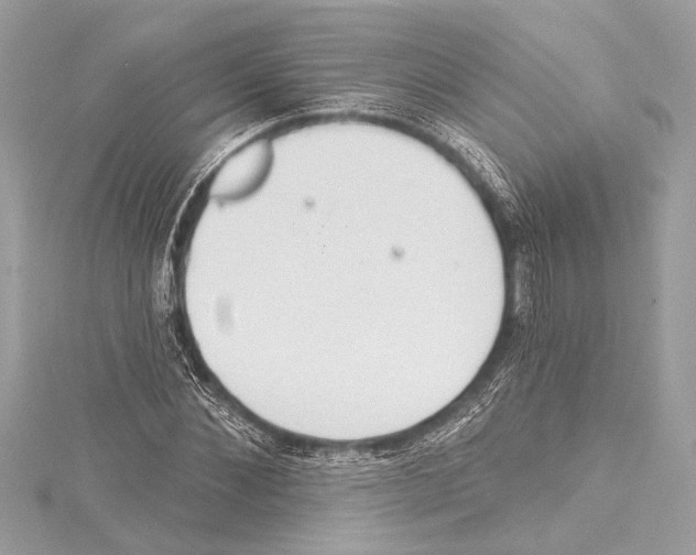 X0000115420876200912011324