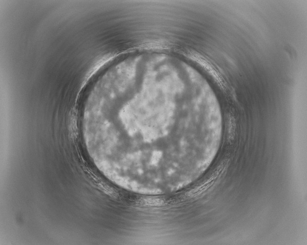 X0000115420878200912011324