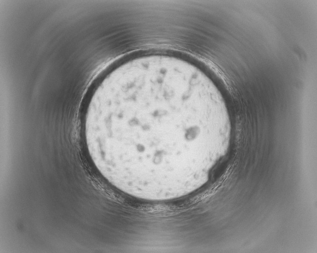 X0000115420879200912011324