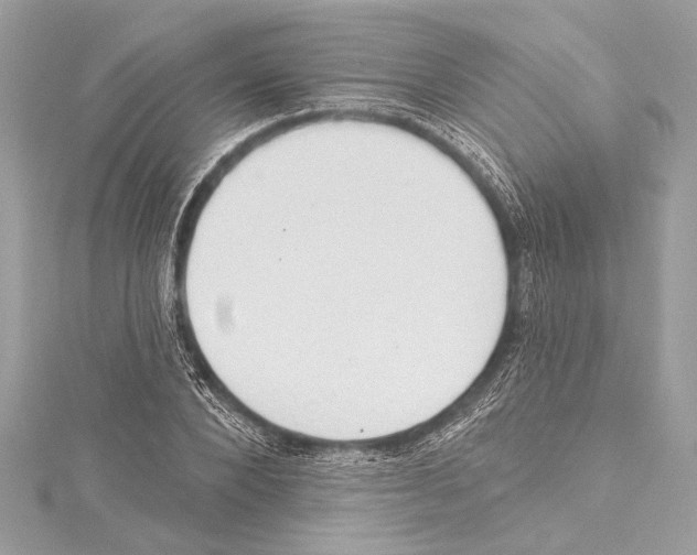 X0000115420880200912011324