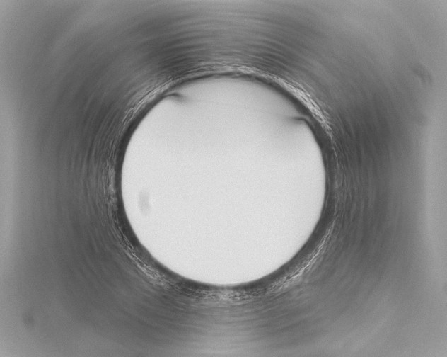 X0000115420881200912011324