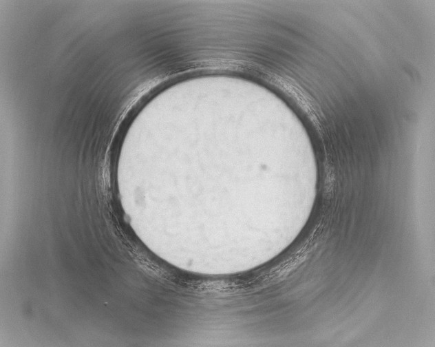 X0000115420883200912011324