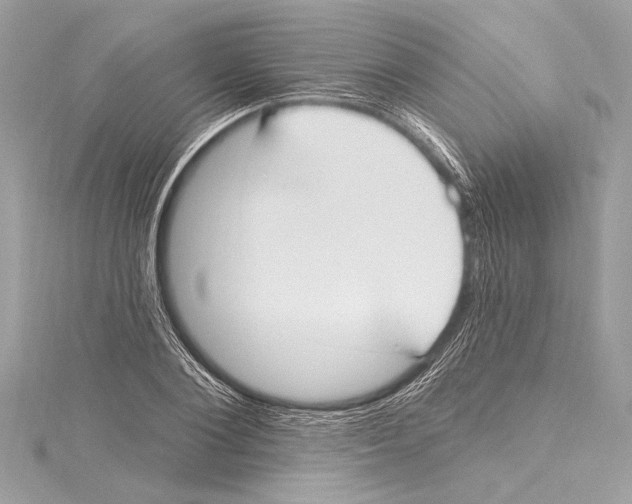 X0000115420884200912011324