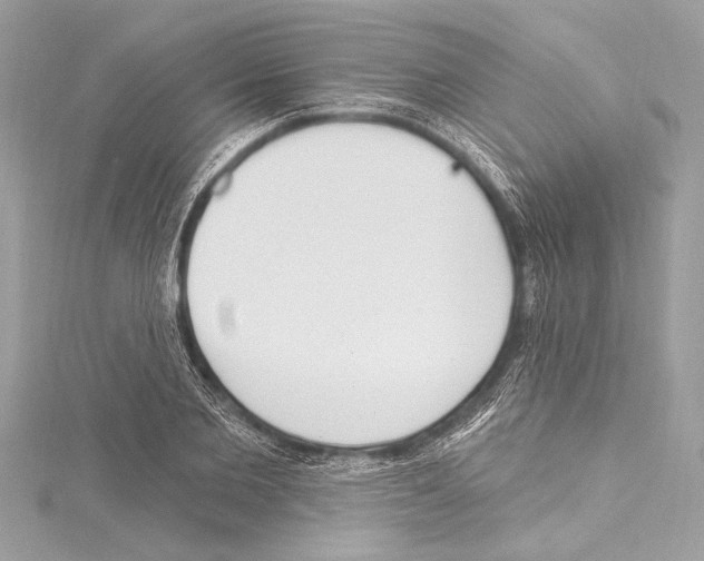 X0000115420885200912011324