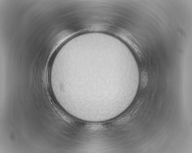 X0000115420886200912011324