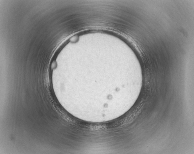 X0000115420887200912011324