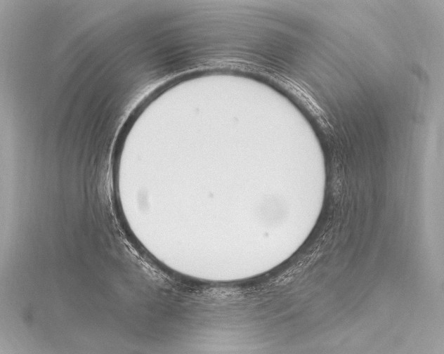 X0000115420888200912011324