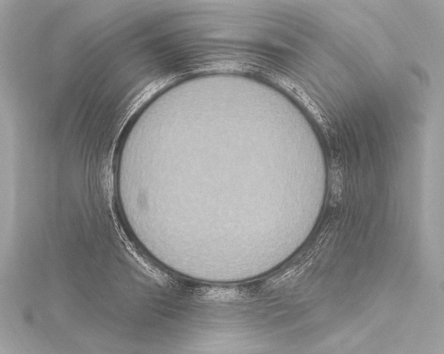 X0000115420890200912011324