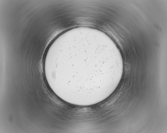 X0000115420891200912011324