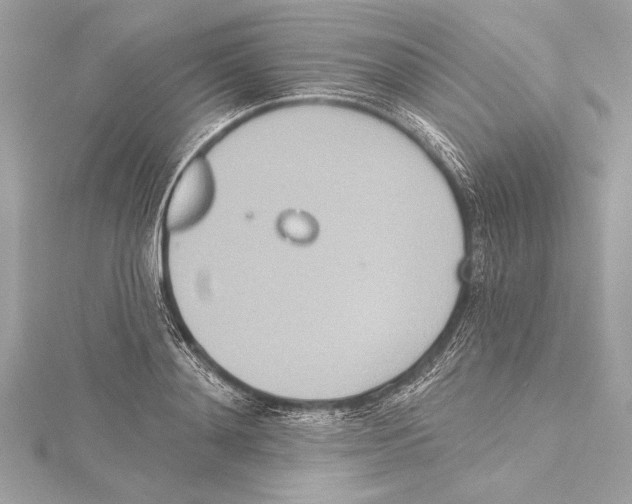 X0000115420892200912011324