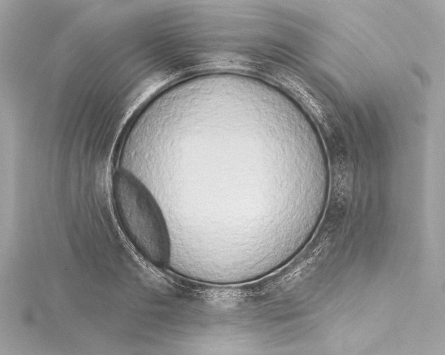 X0000115420893200912011324