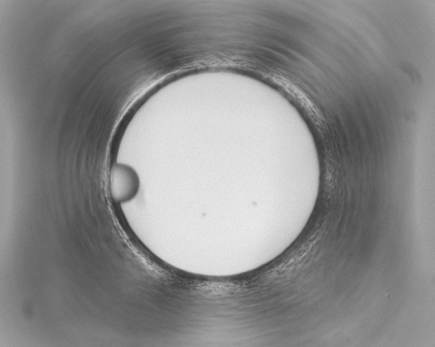 X0000115420894200912011324