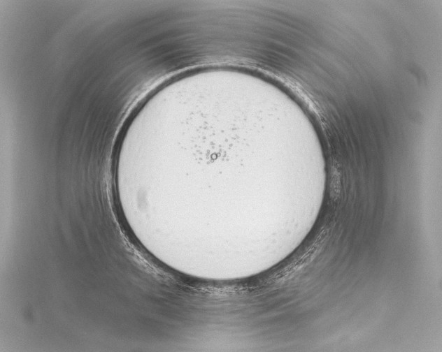 X0000115420895200912011324