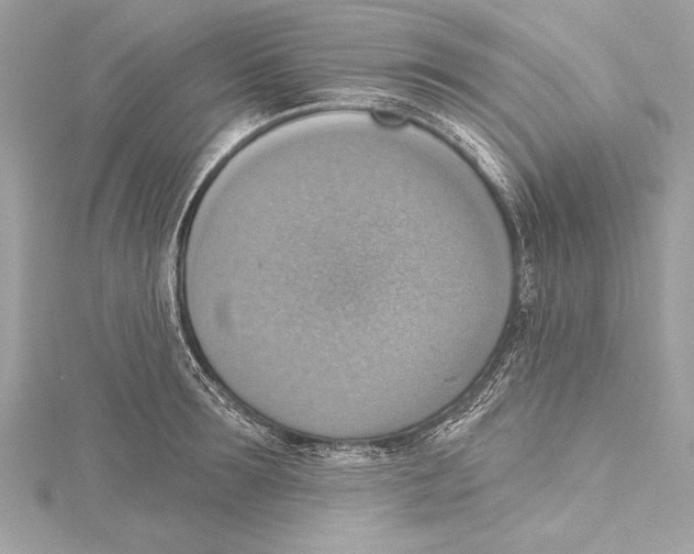 X0000115420899200912011324