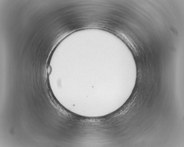 X0000115420900200912011324