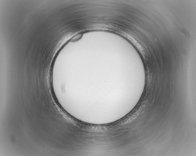 X0000115420901200912011324