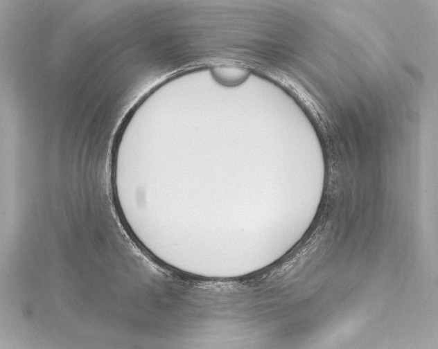 X0000115420902200912011324