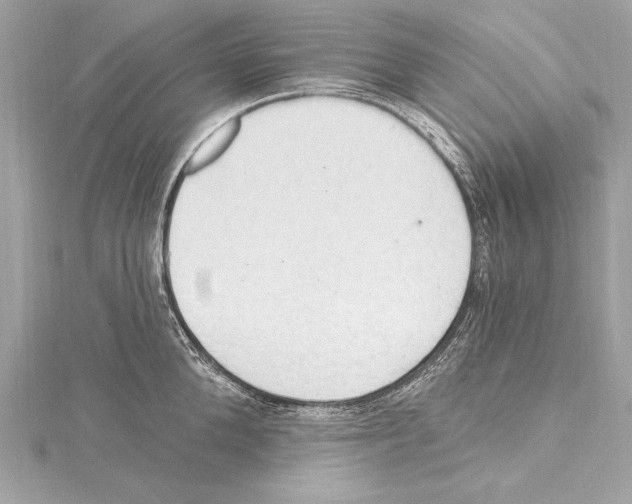 X0000115420904200912011324